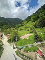 Uçan Pansiyon