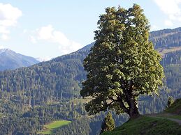 Apartment in Salzburger Land With Balcony