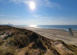 Waves & Relaxation Retreat