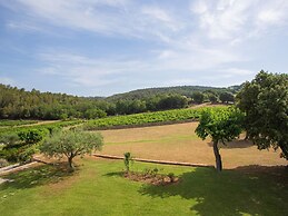 Chateau in Lorgues With Pool & Vineyard Views