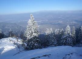 Ferienwohnung im Bayerischen Wald mit Terrasse
