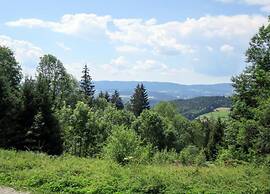 Ferienwohnung im Bayerischen Wald mit Terrasse