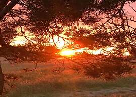 Hideaway, Pruchten- Baltic Coast