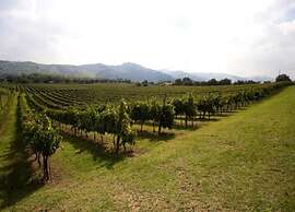 Spacious Holiday Home in Brisighella