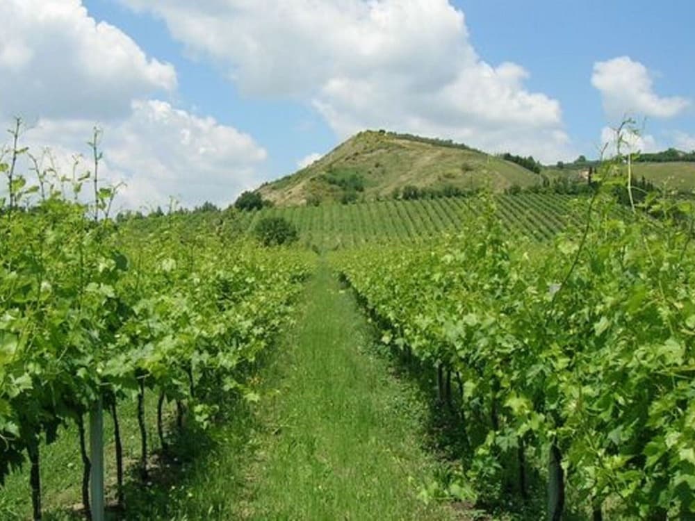 Spacious Holiday Home in Brisighella