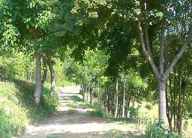 Spacious Holiday Home in Brisighella