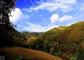 Spacious Holiday Home in Brisighella