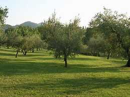 Spacious Holiday Home in Brisighella