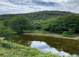 Authentic Stone Mas Retreat