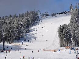 Panoramic View of Lake Harz