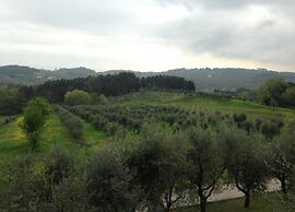 Lucca Central Garden Cottage