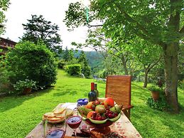 Farmhouse in Cortona With Pool