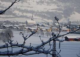 Flat in Mittersill Near Ski Slopes