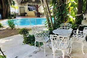 MAYAN ART Hotel Boutique - 10Th. Ave