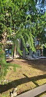 Hygge Haus