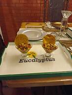 Hotel Boutique Villa Eucalyptus