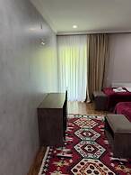 Hotel Mountain Mestia