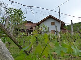 Vineyard cottage Mavrica