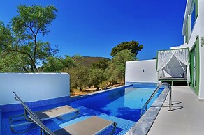 Villa Chives
