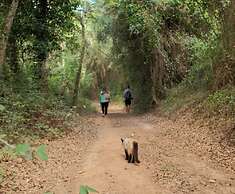 Herdade da Maceira