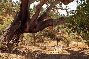 Herdade da Maceira