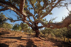 Herdade da Maceira