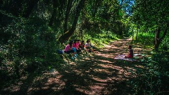 Herdade da Maceira