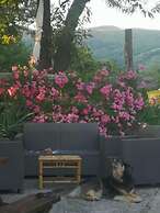 la debbia ranch