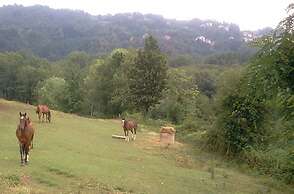 la debbia ranch