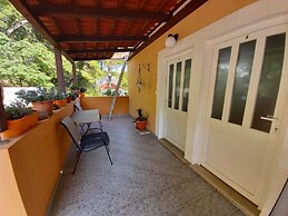 Apartments Vinko Mljet