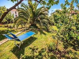 Apartments Amalia