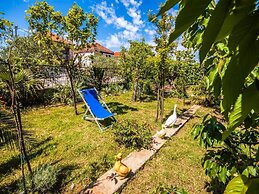 Apartments Amalia