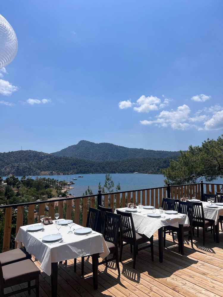 Teras Orhaniye