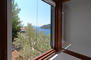 Panoramic Apartments Anić