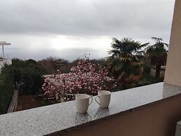Apartments Baricevic