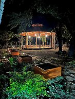 The Grand Mango