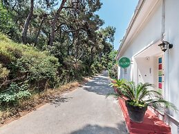 Hillora Buyukada