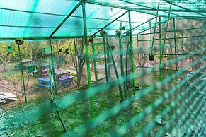 Farm Ikalimo
