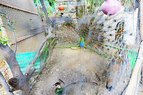 Farm Ikalimo