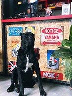 Cafe Moto Hostel