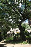 Eco Hotel El Reposo
