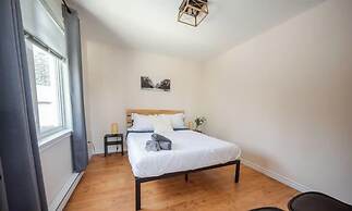 Sommet- Pet Friendly- Spa- SKI IN SKI OUT St-c me