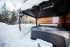 Sommet- Pet Friendly- Spa- SKI IN SKI OUT St-c me