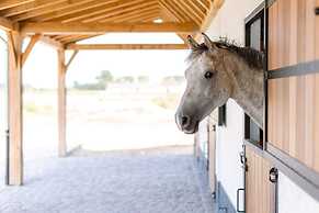 Lord - Double Room at Ranch De Blauwe Zaal