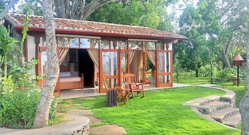 El Guayacán