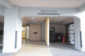 Manshon Cattreya