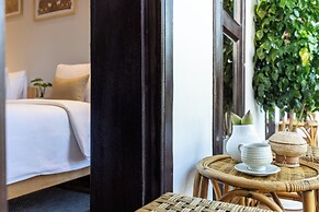 Moringa Tree Maison