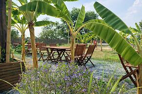 Moringa Tree Maison