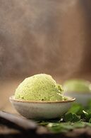 Moringa Tree Maison