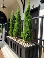 Moringa Tree Maison